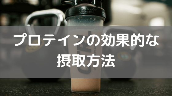 プロテインの効果的な摂取方法 vol.32