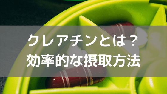 クレアチンとは？効率的な摂取方法 vol.36