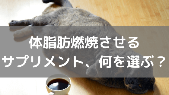 体脂肪燃焼させるサプリメント、何を選ぶ？ vol.37