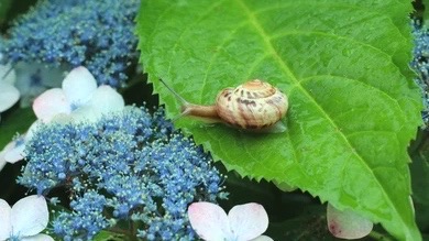 6月にオススメの食事vol.233