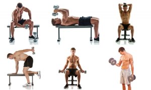 筋トレ 種目 種類